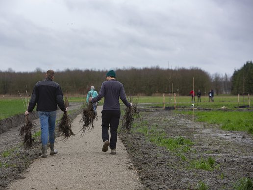 banner-eemvallei-plantgoed