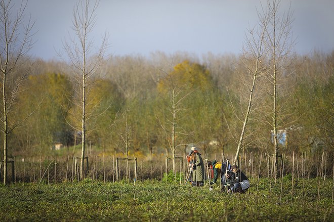 001AanplantEemvallei