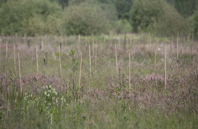 001Rijen Schijndel