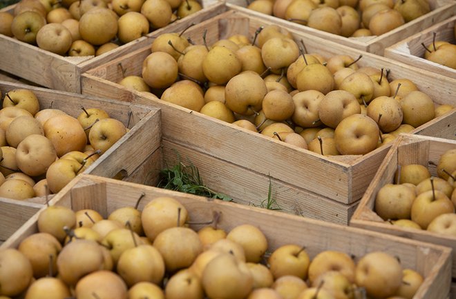 008OogstKetelbroek (1)