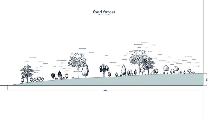 04_Werktekening_Concept beplantingsplan-Dwarsprofiel