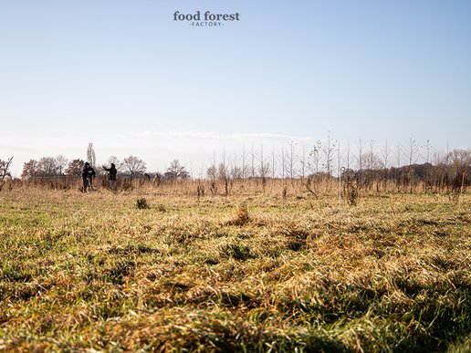 05_Aanlant nov21 Foodforestfactory35 kleinformaat