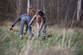 aanplant-schijndel