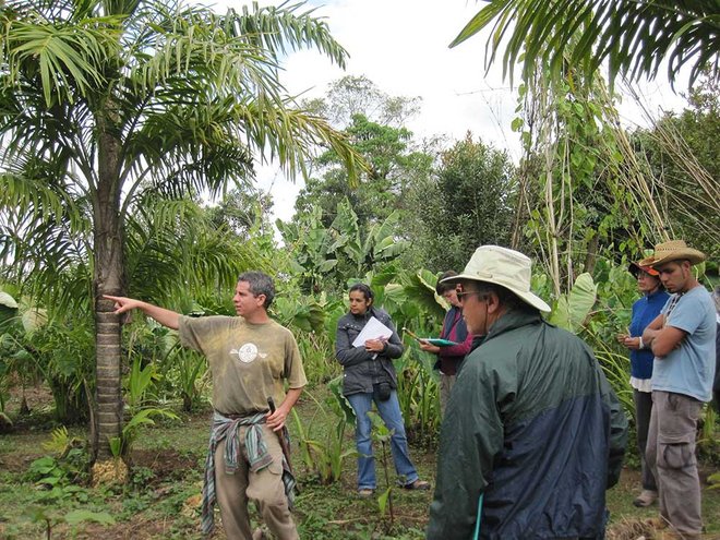 2_edible-forest-garden-10-years-2