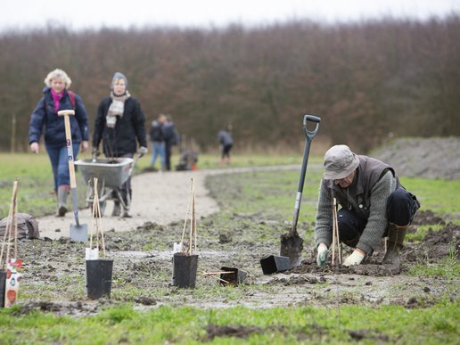 aanplant-eemvallei-potgoed