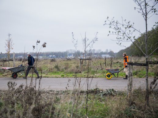 aanplant-eemvallei-kruiwagens