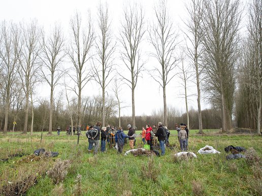 plantinstructie