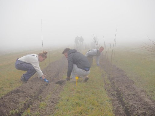 Plantdag1-mist