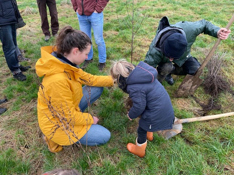 Bomen planten