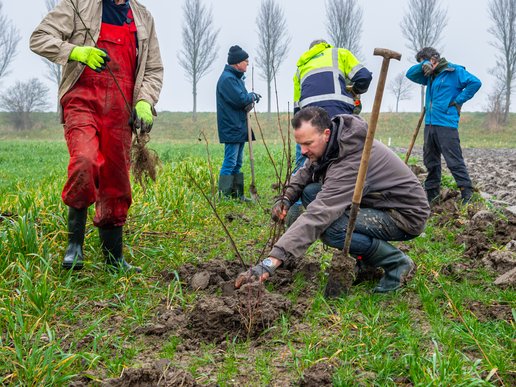 VB pa-onno-groep