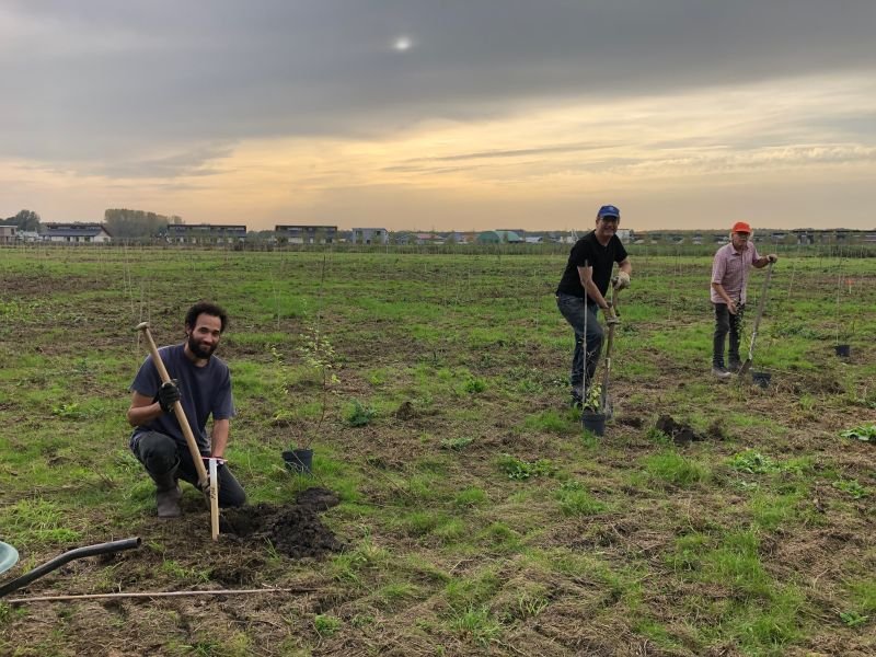 Plantdagen 2021-2022