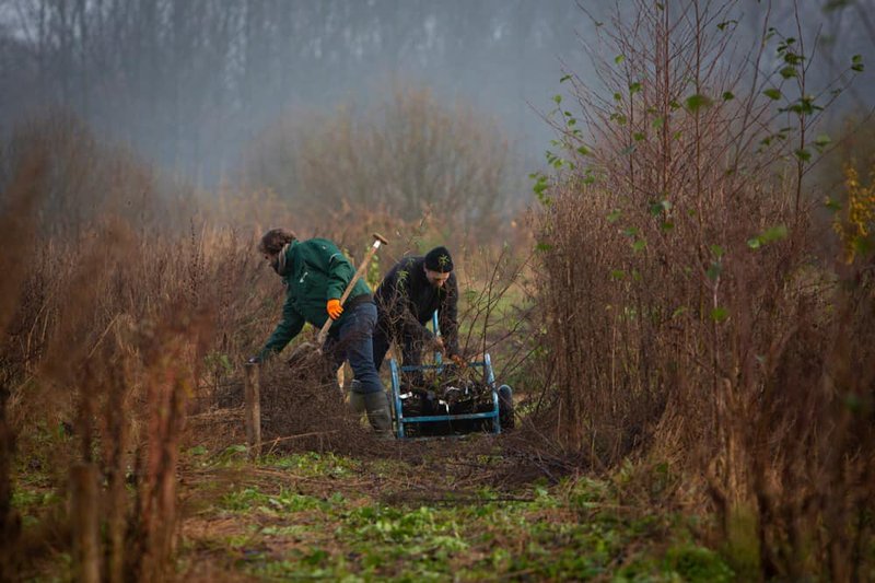 Plantseizoen 2021-2022 VII