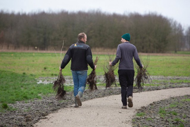 Plantweekend eemvallei II