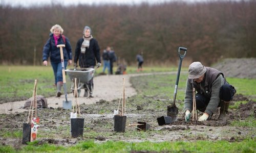 Plantweekend eemvallei III