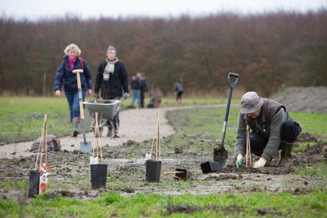 Plantweekend eemvallei III