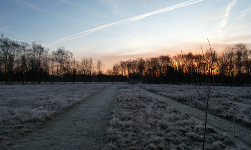 Voedselbos Pickensteeg