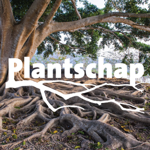 Plantschap