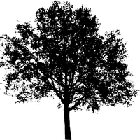 tree-157371_640.png