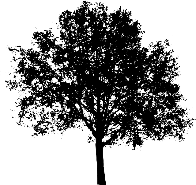 tree-157371_640.png