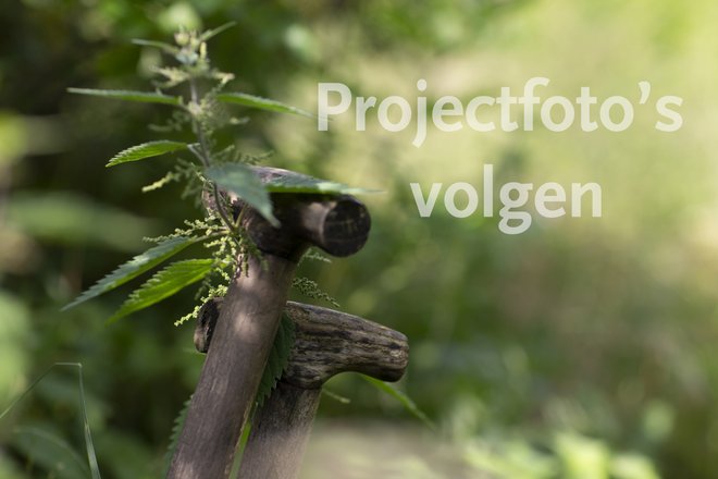 wachtfoto-tekst